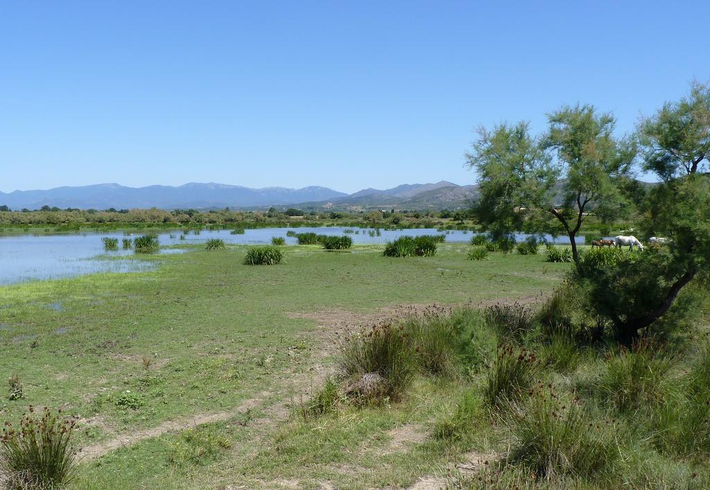 Hotel Can Ceret Sant Pere Pescador Bagian luar foto